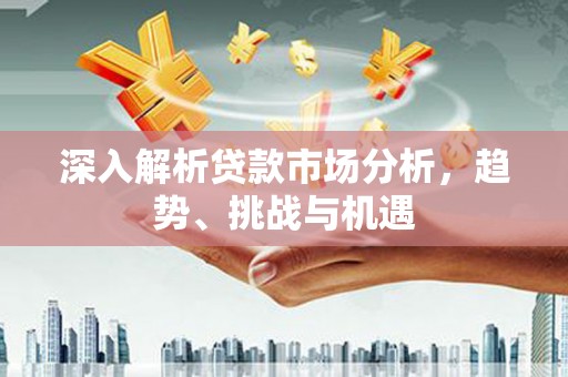 牟定深入解析贷款市场分析，趋势、挑战与机遇