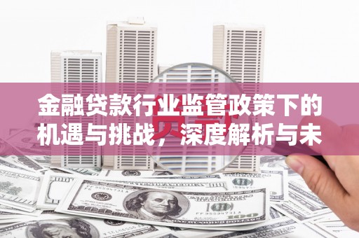 新巴尔虎左旗金融贷款行业监管政策下的机遇与挑战，深度解析与未来展望