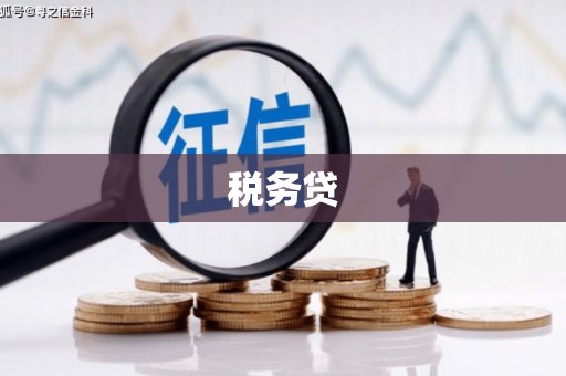 兴山税务贷