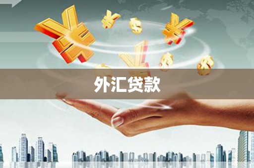 兴山外汇贷款
