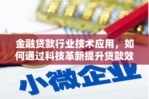 柳东金融贷款行业技术应用，如何通过科技革新提升贷款效率与安全性