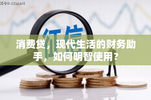 洛宁消费贷，现代生活的财务助手，如何明智使用？