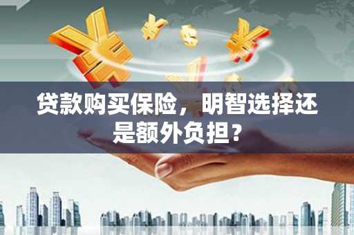 波密贷款购买保险，明智选择还是额外负担？