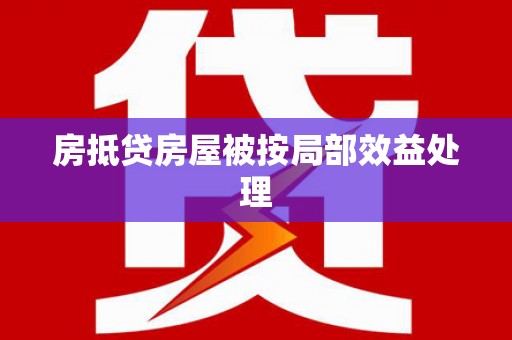 波密房抵贷房屋被按局部效益处理