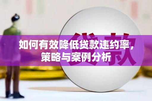 阿拉善左旗如何有效降低贷款违约率，策略与案例分析