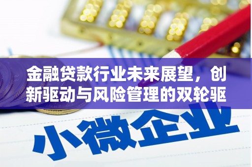 耀州金融贷款行业未来展望，创新驱动与风险管理的双轮驱动
