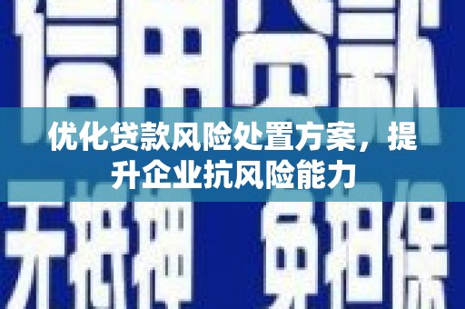 邳州优化贷款风险处置方案，提升企业抗风险能力