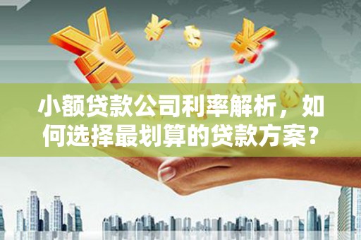 毕节小额贷款公司利率解析，如何选择最划算的贷款方案？