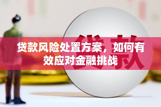 库伦旗贷款风险处置方案，如何有效应对金融挑战