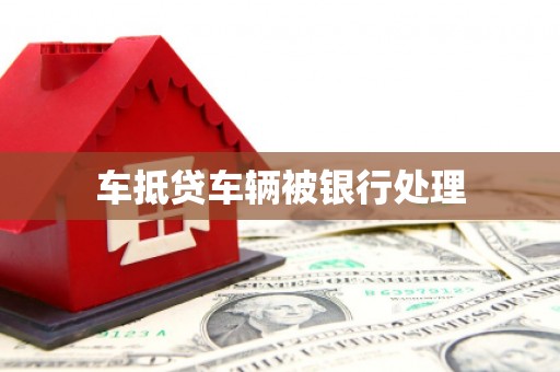 南皮车抵贷车辆被银行处理