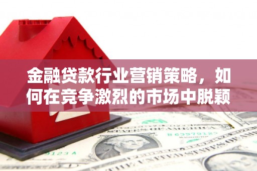 金普新区金融贷款行业营销策略，如何在竞争激烈的市场中脱颖而出？