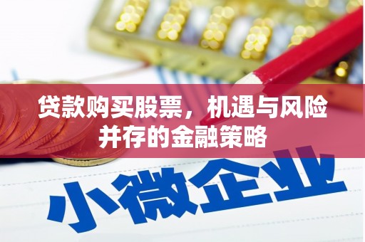 平湖贷款购买股票，机遇与风险并存的金融策略