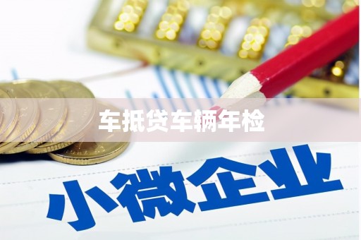 柳林车抵贷车辆年检