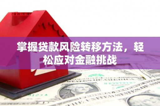 万柏林掌握贷款风险转移方法，轻松应对金融挑战