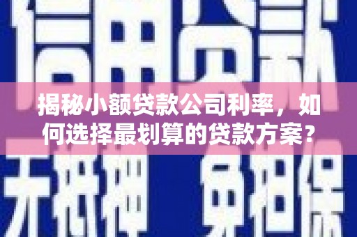 广宁揭秘小额贷款公司利率，如何选择最划算的贷款方案？