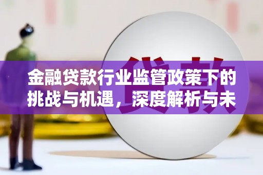 东乌旗金融贷款行业监管政策下的挑战与机遇，深度解析与未来展望