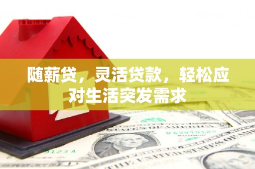 嘉峪关随薪贷，灵活贷款，轻松应对生活突发需求