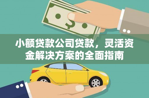 水上小额贷款公司贷款，灵活资金解决方案的全面指南