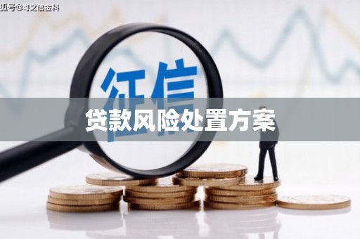 托克托贷款风险处置方案