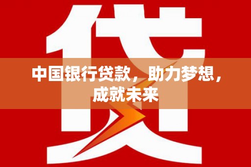 新田中国银行贷款，助力梦想，成就未来