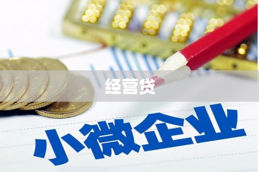新田经营贷