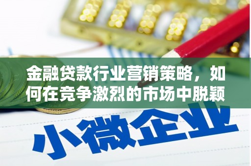 大林金融贷款行业营销策略，如何在竞争激烈的市场中脱颖而出？