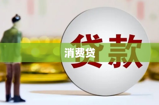 大林消费贷