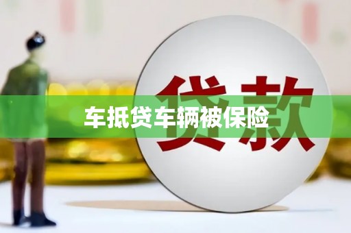 南州车抵贷车辆被保险