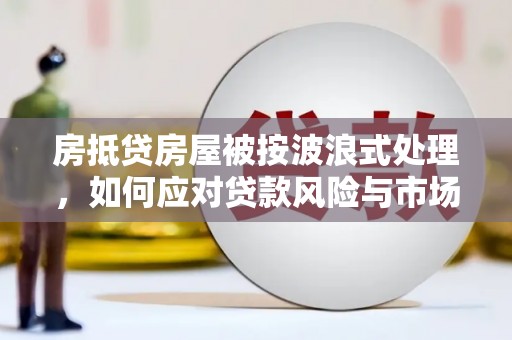 平罗房抵贷房屋被按波浪式处理，如何应对贷款风险与市场波动？