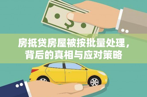 新龙房抵贷房屋被按批量处理，背后的真相与应对策略