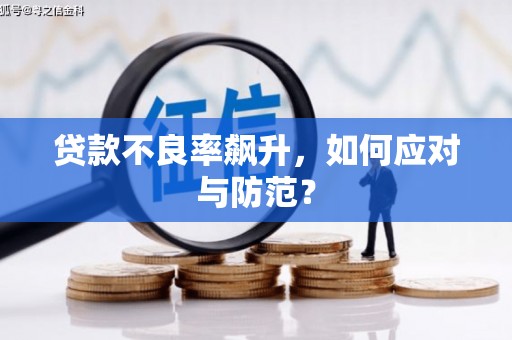 呼兰贷款不良率飙升，如何应对与防范？