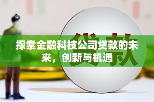 灵山探索金融科技公司贷款的未来，创新与机遇