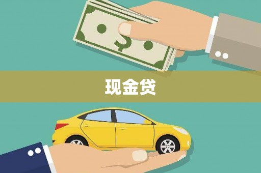 巴马现金贷
