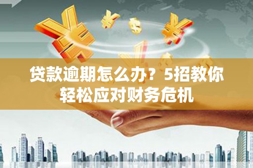 逊克贷款逾期怎么办？5招教你轻松应对财务危机