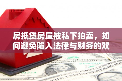 牟定房抵贷房屋被私下拍卖，如何避免陷入法律与财务的双重困境？