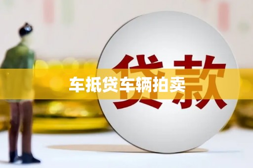 维西车抵贷车辆拍卖