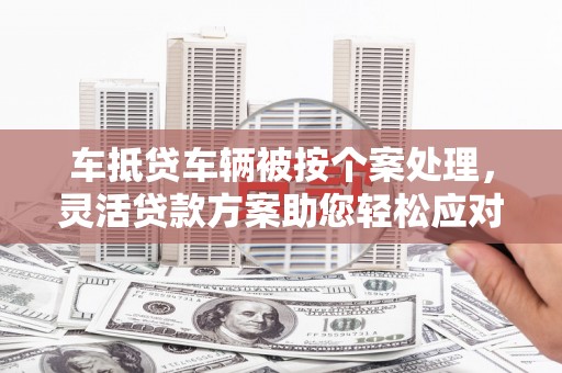 涟源车抵贷车辆被按个案处理，灵活贷款方案助您轻松应对资金需求