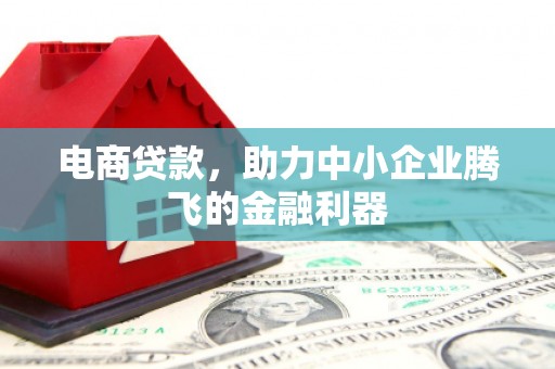 海阳电商贷款，助力中小企业腾飞的金融利器
