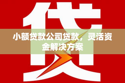 海阳小额贷款公司贷款，灵活资金解决方案