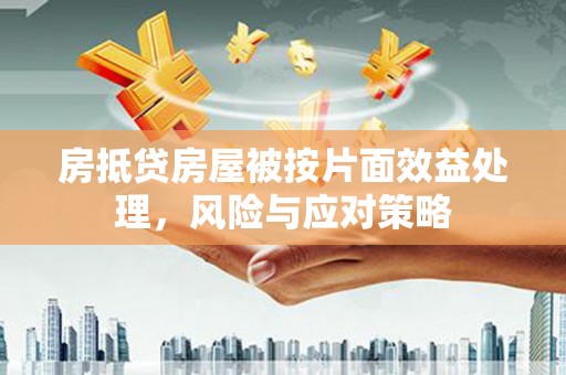 道县房抵贷房屋被按片面效益处理，风险与应对策略