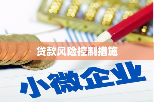 富平贷款风险控制措施