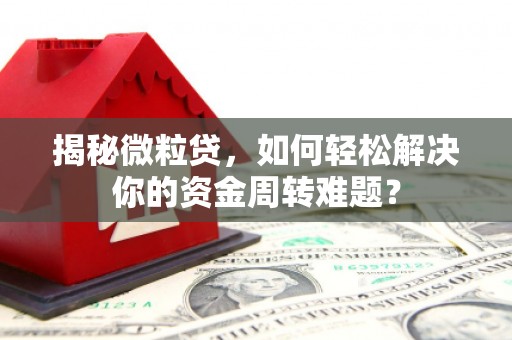 新华揭秘微粒贷，如何轻松解决你的资金周转难题？