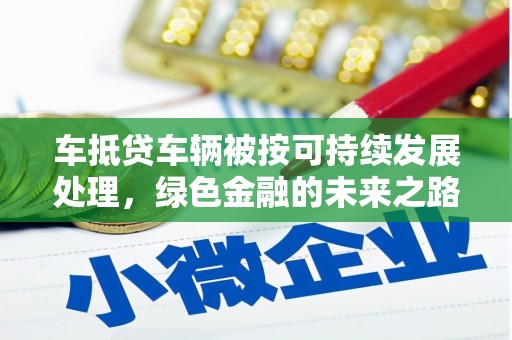 涞源车抵贷车辆被按可持续发展处理，绿色金融的未来之路