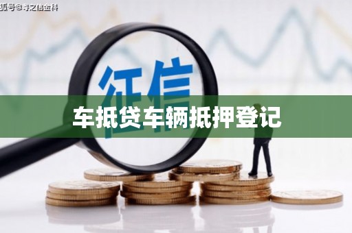 东海车抵贷车辆抵押登记