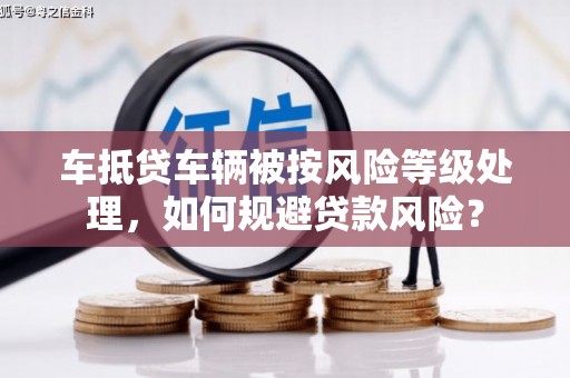 元阳车抵贷车辆被按风险等级处理，如何规避贷款风险？