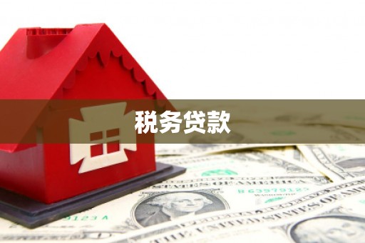 凤冈税务贷款