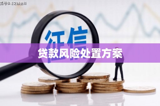 五莲贷款风险处置方案