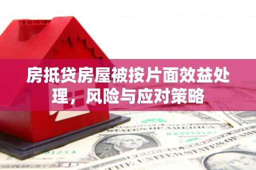 墨竹工卡房抵贷房屋被按片面效益处理，风险与应对策略