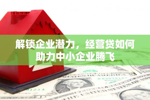 郎溪解锁企业潜力，经营贷如何助力中小企业腾飞