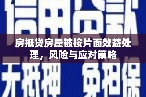 郎溪房抵贷房屋被按片面效益处理，风险与应对策略
